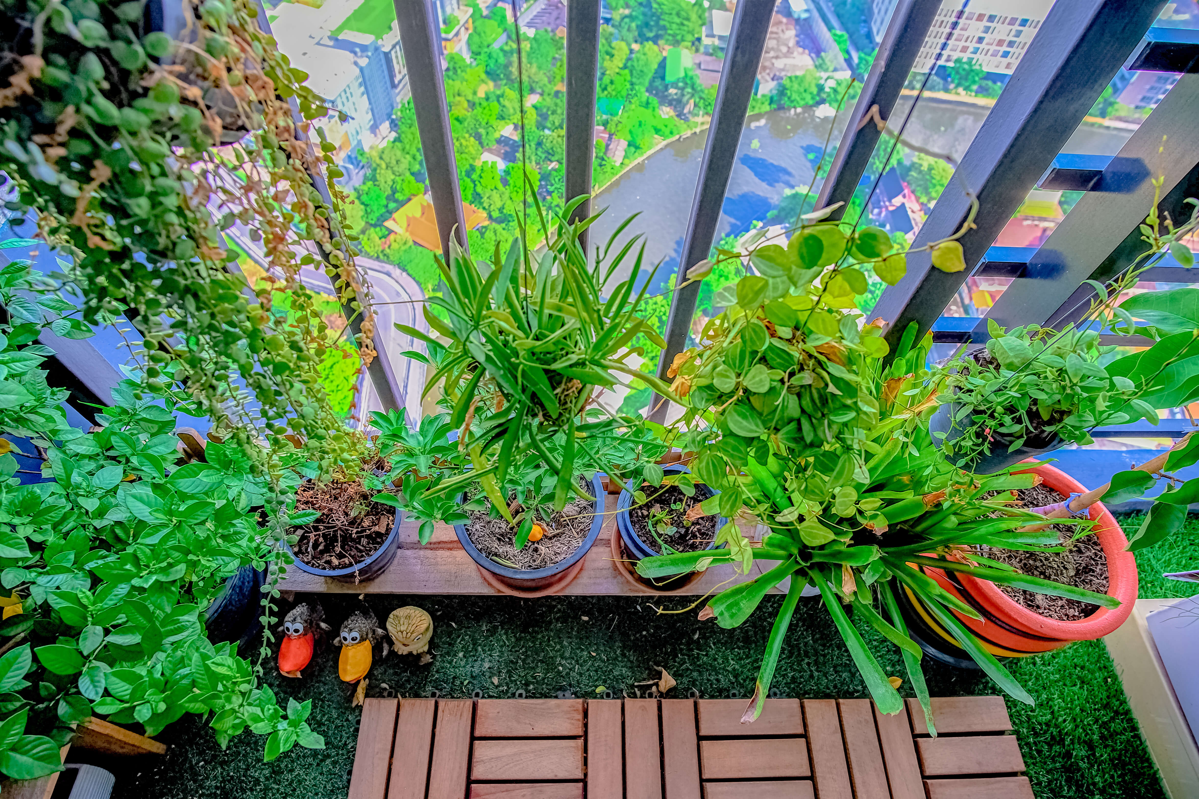Oxigént a lakásba, avagy növényekből sosem elég!