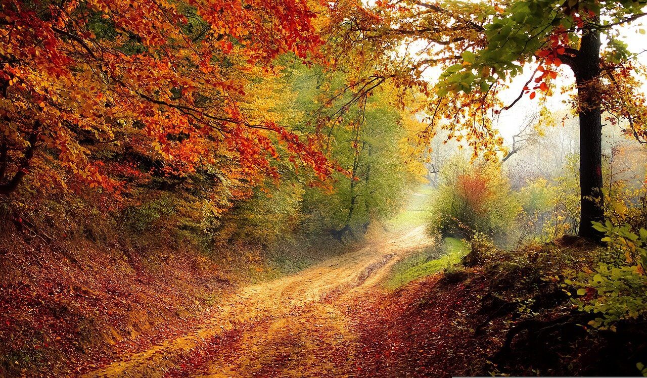 Ámulj el az őszi színkavalkádon az egri dombokon