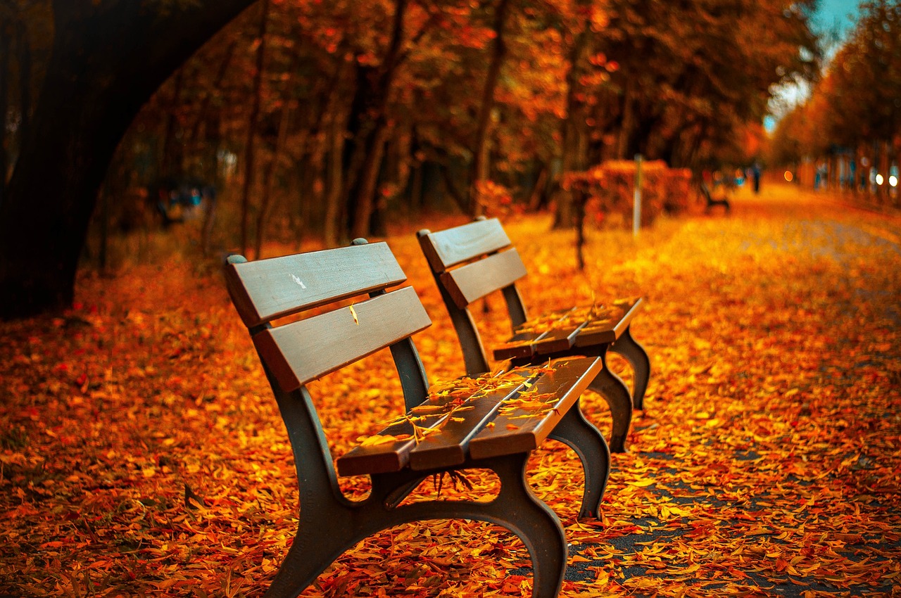 Ilyenek az ősz csodálatos színei a Krisztinavárosban