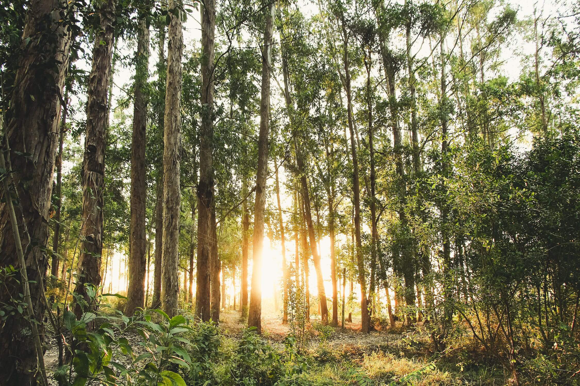 Az őszi erdő magával ragadó! – Íme néhány természetközeli kuckó a Bükkből